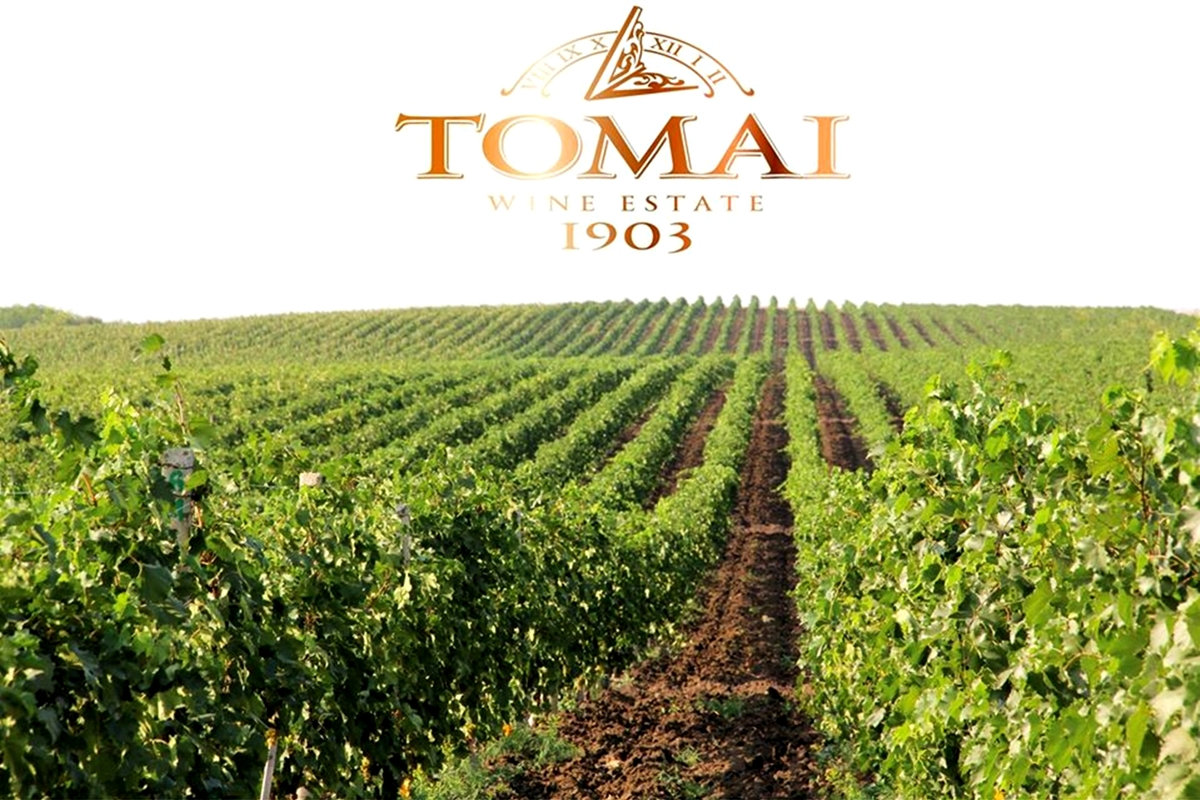 DiscoverGagauzia_Tomai-winery